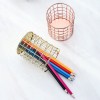 Hollow Out Rose Gold Rack Table Top Accessories Storage Holder Multifunctional Office Stationery creative Pencil Holder