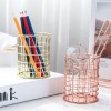 Hollow Out Rose Gold Rack Table Top Accessories Storage Holder Multifunctional Office Stationery creative Pencil Holder