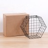 Ins Simple Metal Wire hexagonal wall hanging racks living room creative wall decoration storage rack