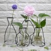 Ins Simple Office Table Decor Glass Bottle Black Wire Plant Holder Dried Flower Arranger Flower Vase Metal for Home Decoration