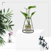 Ins Simple Office Table Decor Glass Bottle Black Wire Plant Holder Dried Flower Arranger Flower Vase Metal for Home Decoration