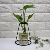 Ins Simple Office Table Decor Glass Bottle Black Wire Plant Holder Dried Flower Arranger Flower Vase Metal for Home Decoration