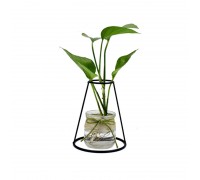 Ins Simple Office Table Decor Glass Bottle Black Wire Plant Holder Dried Flower Arranger Flower Vase Metal for Home Decoration