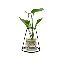 Ins Simple Office Table Decor Glass Bottle Black Wire Plant Holder Dried Flower Arranger Flower Vase Metal for Home Decoration