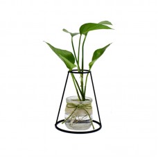 Ins Simple Office Table Decor Glass Bottle Black Wire Plant Holder Dried Flower Arranger Flower Vase Metal for Home Decoration