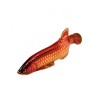 Pure Copper Painted Tabletop Red Arowana Fish For Desktop Decoration